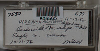 Image Associated With the Occurence
